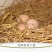 皖南散养土鸡蛋