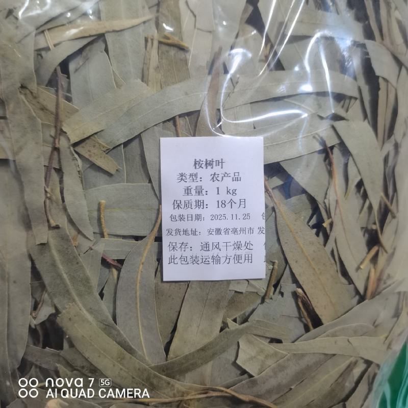 桉树叶中药材桉树叶大桉树叶桉叶规格齐全