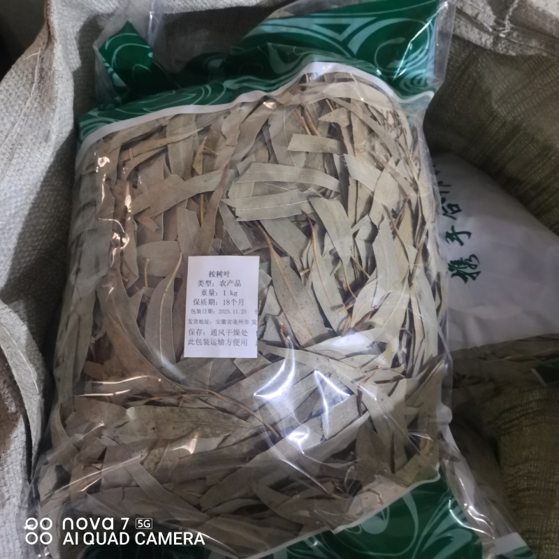 桉树叶中药材桉树叶大桉树叶桉叶规格齐全