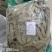 桉树叶中药材桉树叶大桉树叶桉叶规格齐全