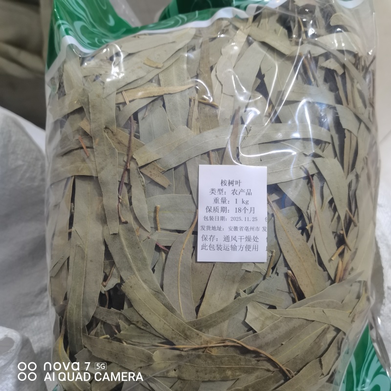 桉树叶中药材桉树叶大桉树叶桉叶规格齐全