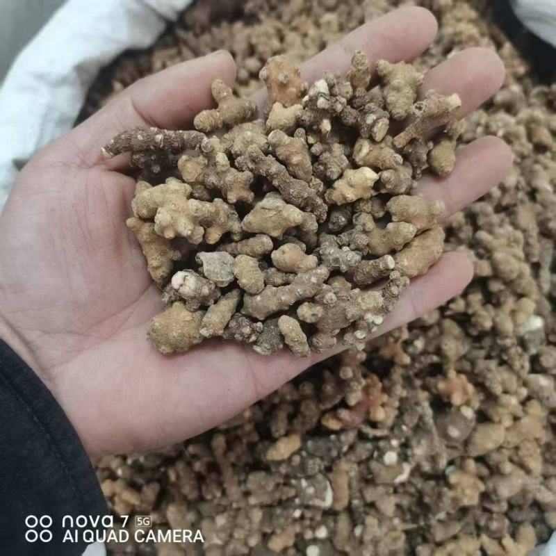 中药材藤三七野生藤三七新货干货量大从优