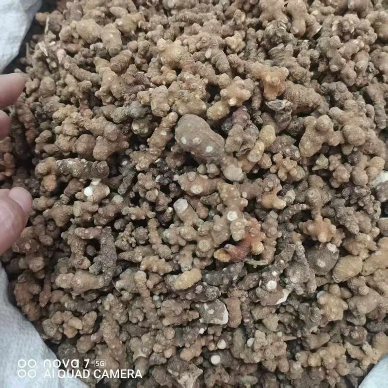 中药材藤三七野生藤三七新货干货量大从优