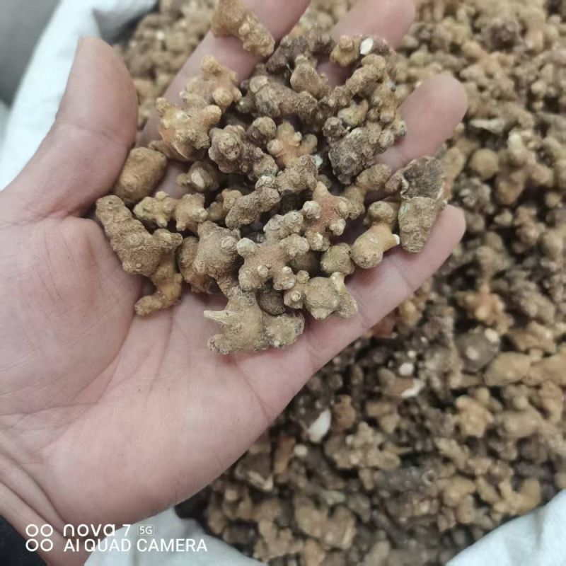 中药材藤三七野生藤三七新货干货量大从优