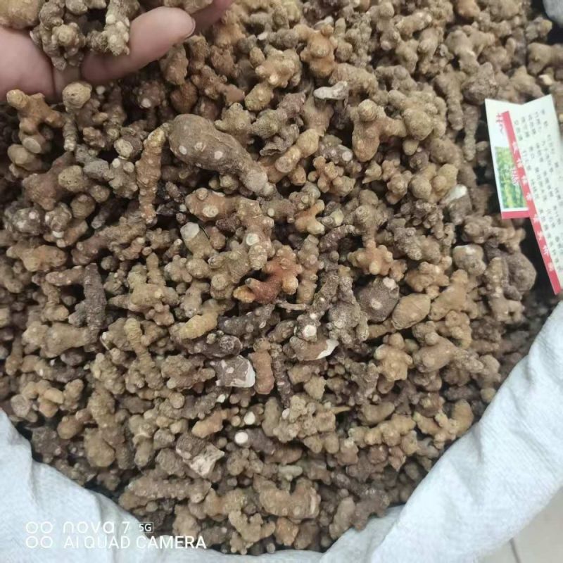中药材藤三七野生藤三七新货干货量大从优
