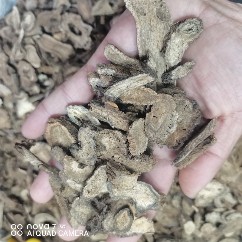 中药材木香片云木香规格齐全大货供应支持一件代发