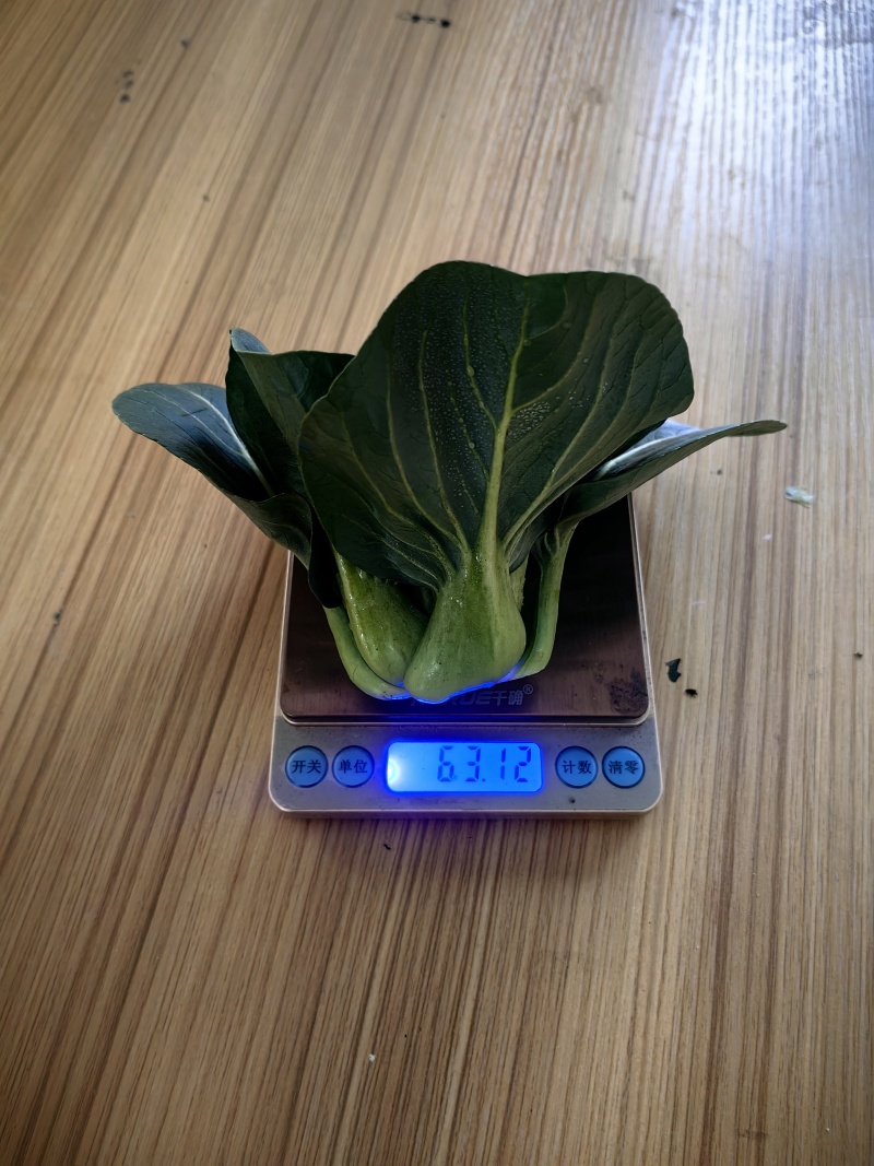 苏州青