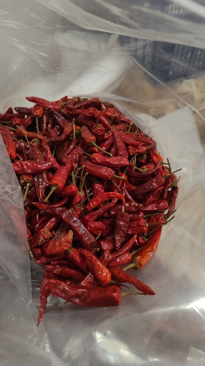 福建辣椒朝天椒卤菜卤鸭耐煮