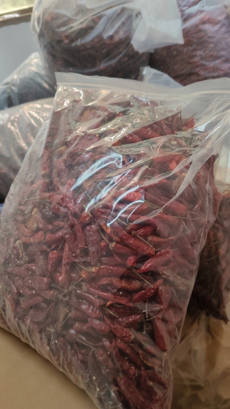 福建辣椒朝天椒卤菜卤鸭耐煮