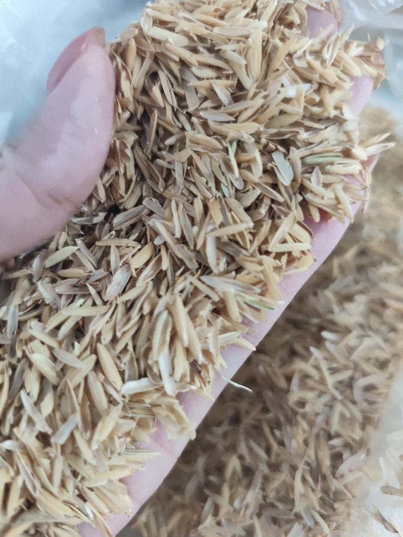 酒厂净壳，干净无尘无霉变，酒厂专用
