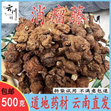 包邮）云南野生中药材消瘤藤精品瑶药消瘤子星毛冠盖