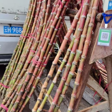云南精品红皮甘蔗甘蔗大量上市品质保证量大从优一手货