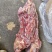 多肉牛脖骨