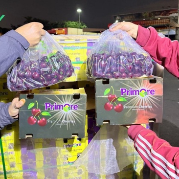 电商一件代发车厘子大量有货硬度好支持市场商超水果店