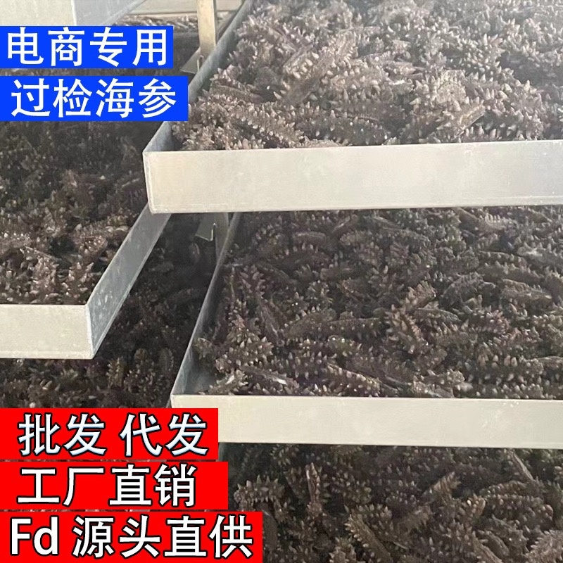 海参干货一件起批FD冻干海参散装批发速发海参水产礼盒
