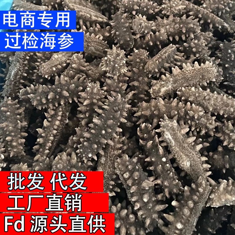海参干货一件起批FD冻干海参散装批发速发海参水产礼盒