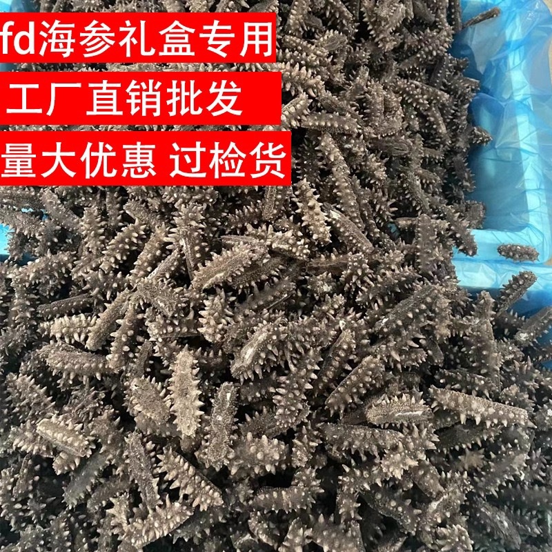 海参干货一件起批FD冻干海参散装批发速发海参水产礼盒