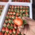 甜宝草莓🍓、香叶草莓🍓、有需要的老板可以联系了、