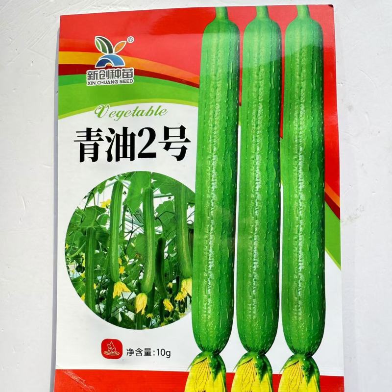 青油2号丝瓜种子中早熟深绿油亮肉厚味浓品质好油绿丝瓜种子