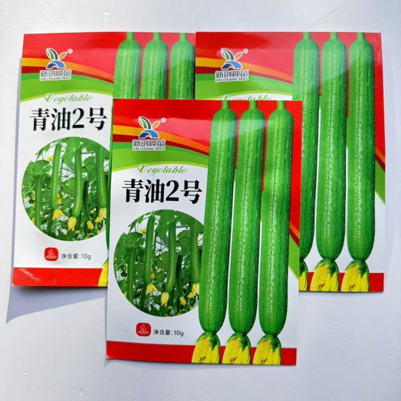 青油2号丝瓜种子中早熟深绿油亮肉厚味浓品质好油绿丝瓜种子