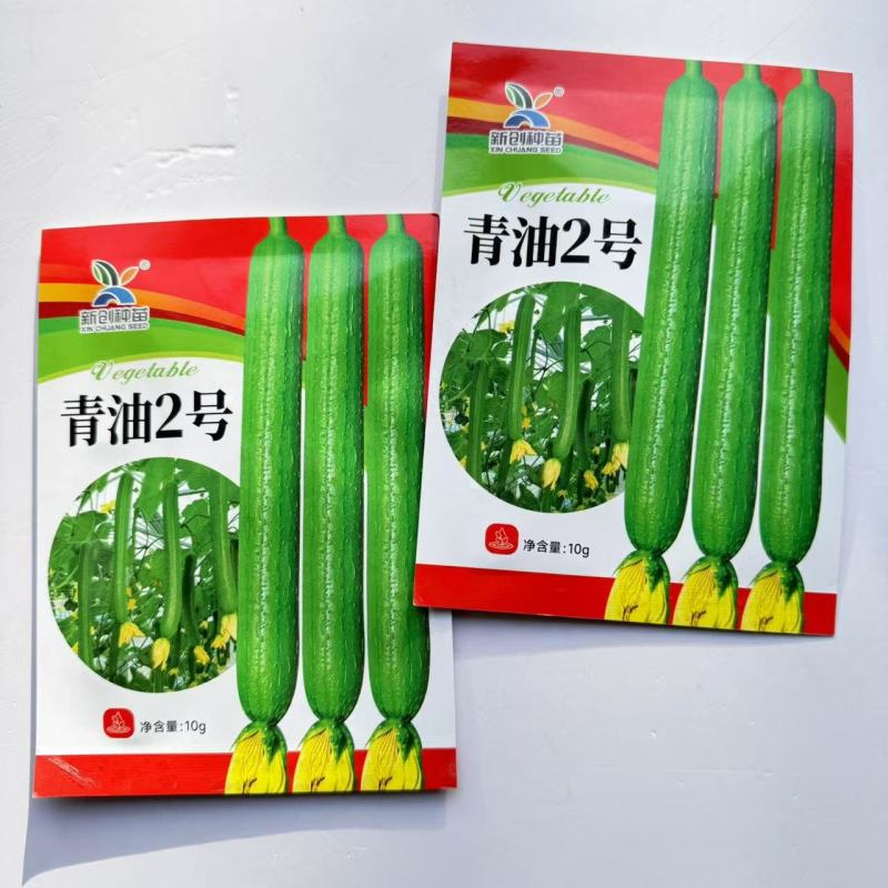 青油2号丝瓜种子中早熟深绿油亮肉厚味浓品质好油绿丝瓜种子