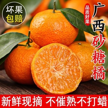 《一件代发》广西砂糖橘正宗砂糖橘