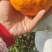 精品耙耙柑现摘现发产地供应量大从优诚信经营