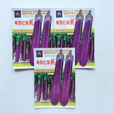 粤茄红紫龙长茄种子表皮光泽肉白色高产春秋播种紫红茄种子籽