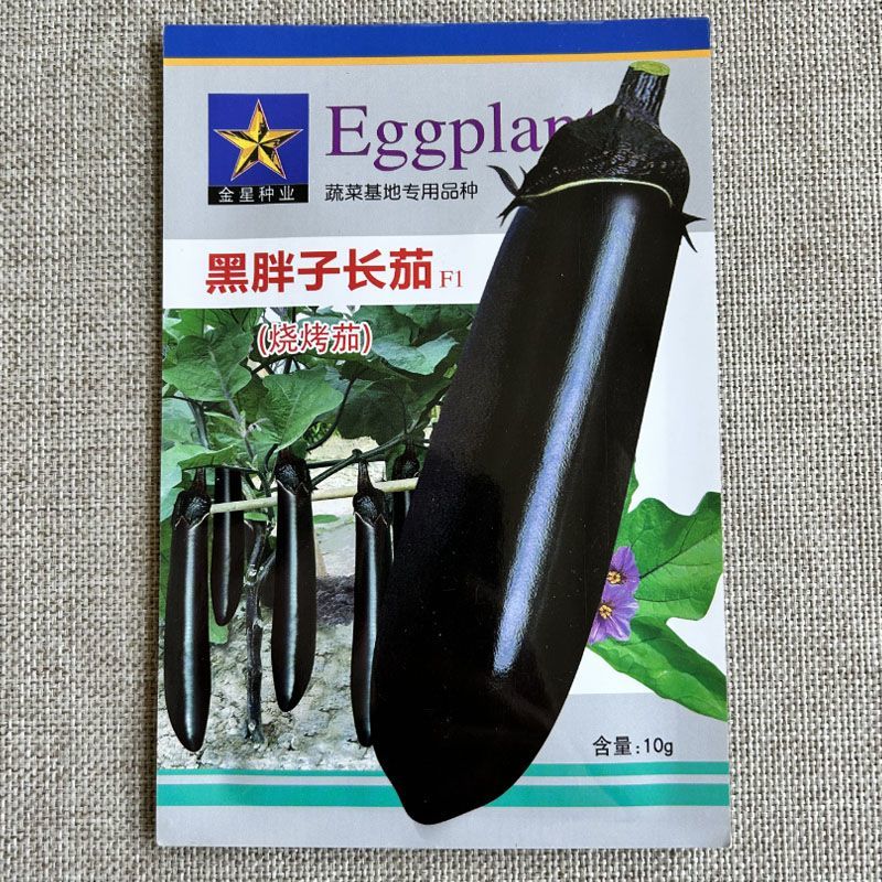 粤茄红紫龙长茄种子表皮光泽肉白色高产春秋播种紫红茄种子籽