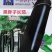 粤茄红紫龙长茄种子表皮光泽肉白色高产春秋播种紫红茄种子籽