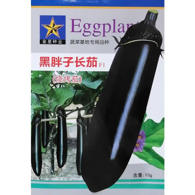 粤茄红紫龙长茄种子表皮光泽肉白色高产春秋播种紫红茄种子籽