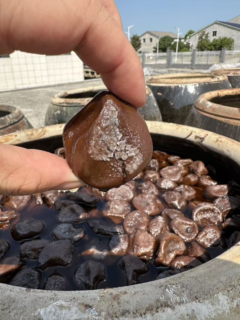 陈化了5年的咸柠檬农家腌制
