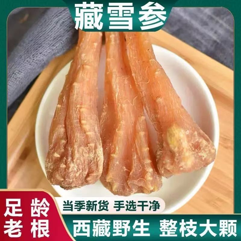 藏雪参中药材正宗西藏雪参批发零售货真价实