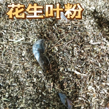 花生叶粉过筛除尘喂鸡鸭鹅兔子羊