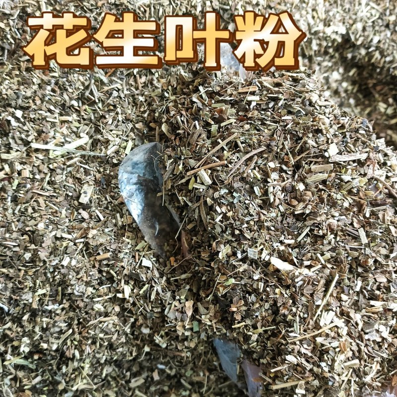 花生叶粉过筛除尘喂鸡鸭鹅兔子羊