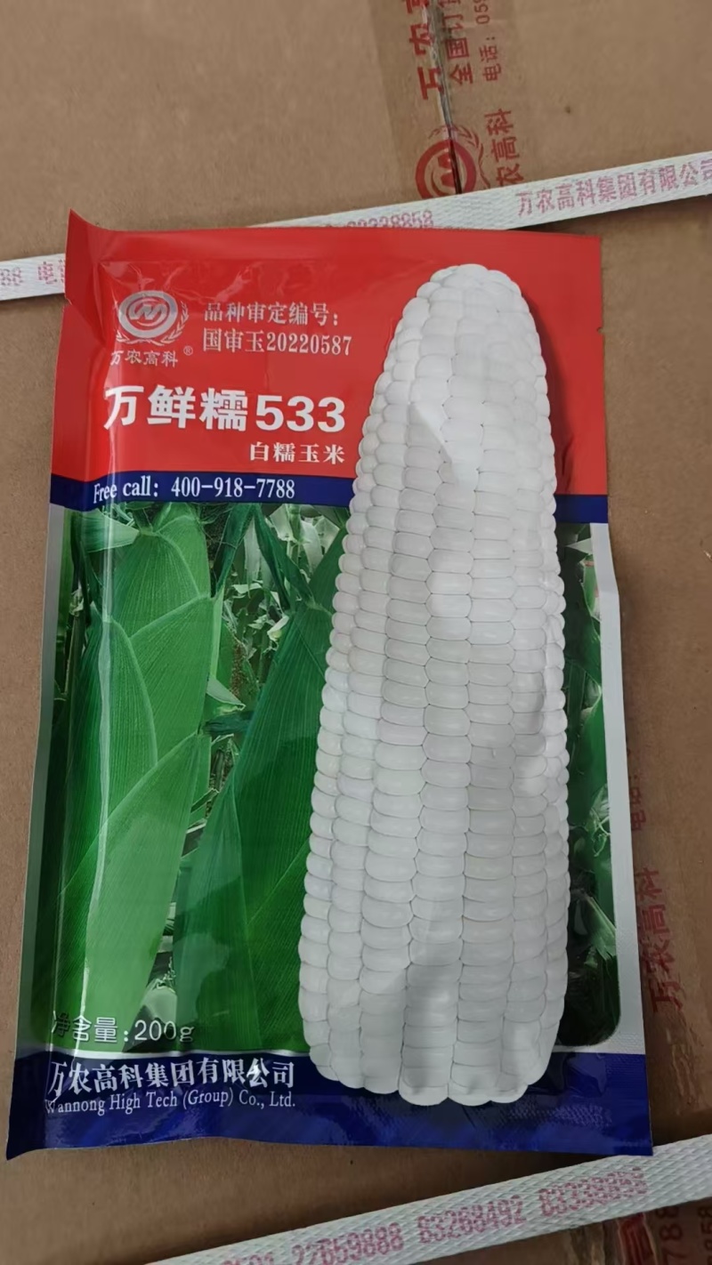 白糯玉米美玉27专业对接市场电商商超