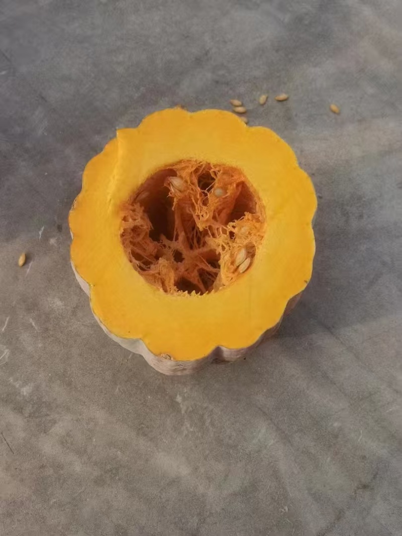（热卖）湖北蜜本南瓜软糯香甜对了全国价格优惠质量好走货快