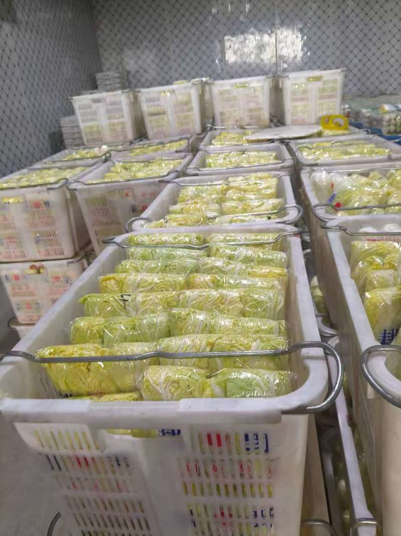 湖北娃娃菜新鲜上市对接全国市场量大从优质量好走货快热卖