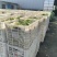 (热卖)湖北娃娃菜新鲜上市对接全国市场量大从优欢迎询价