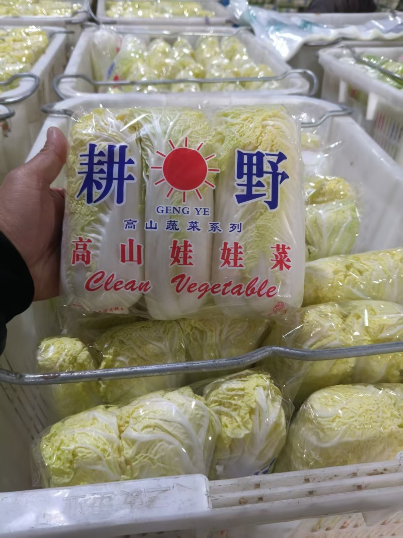 （热卖）湖北娃娃菜新鲜上市对接全国市场量大从优欢迎询价
