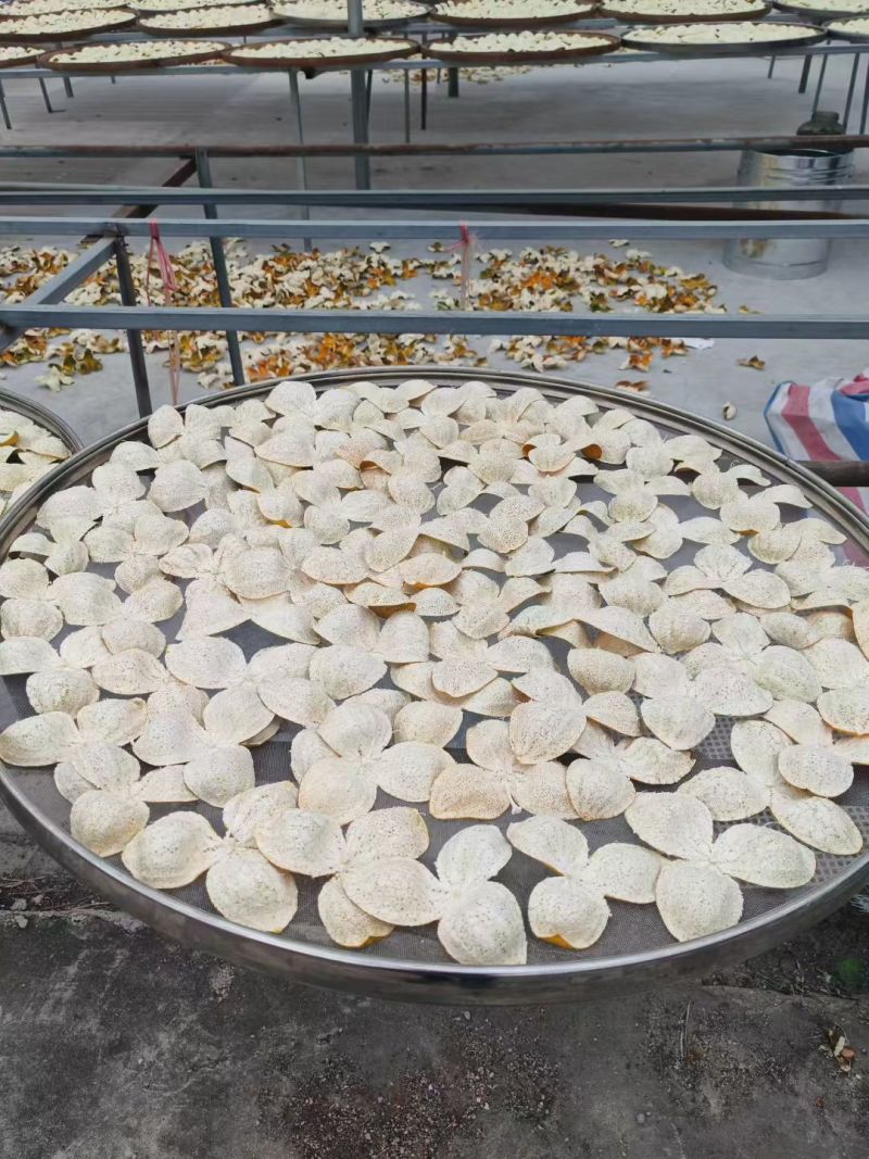 2025药材用泡茶做菜用三江二红皮新会源产地自产自销