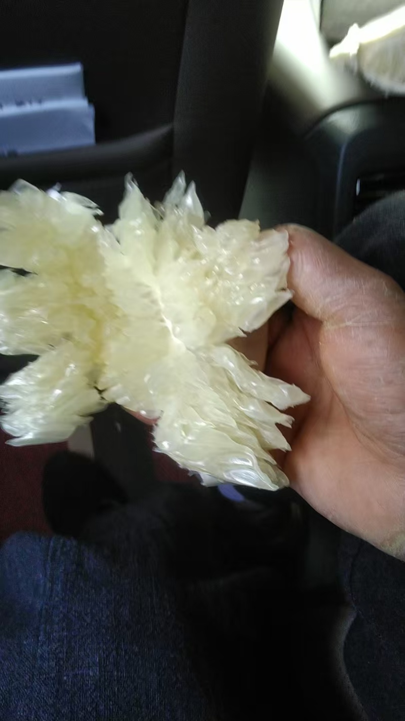 梵净山雪峰柚汁多味美产地直销量大从优可视频看货对接全国