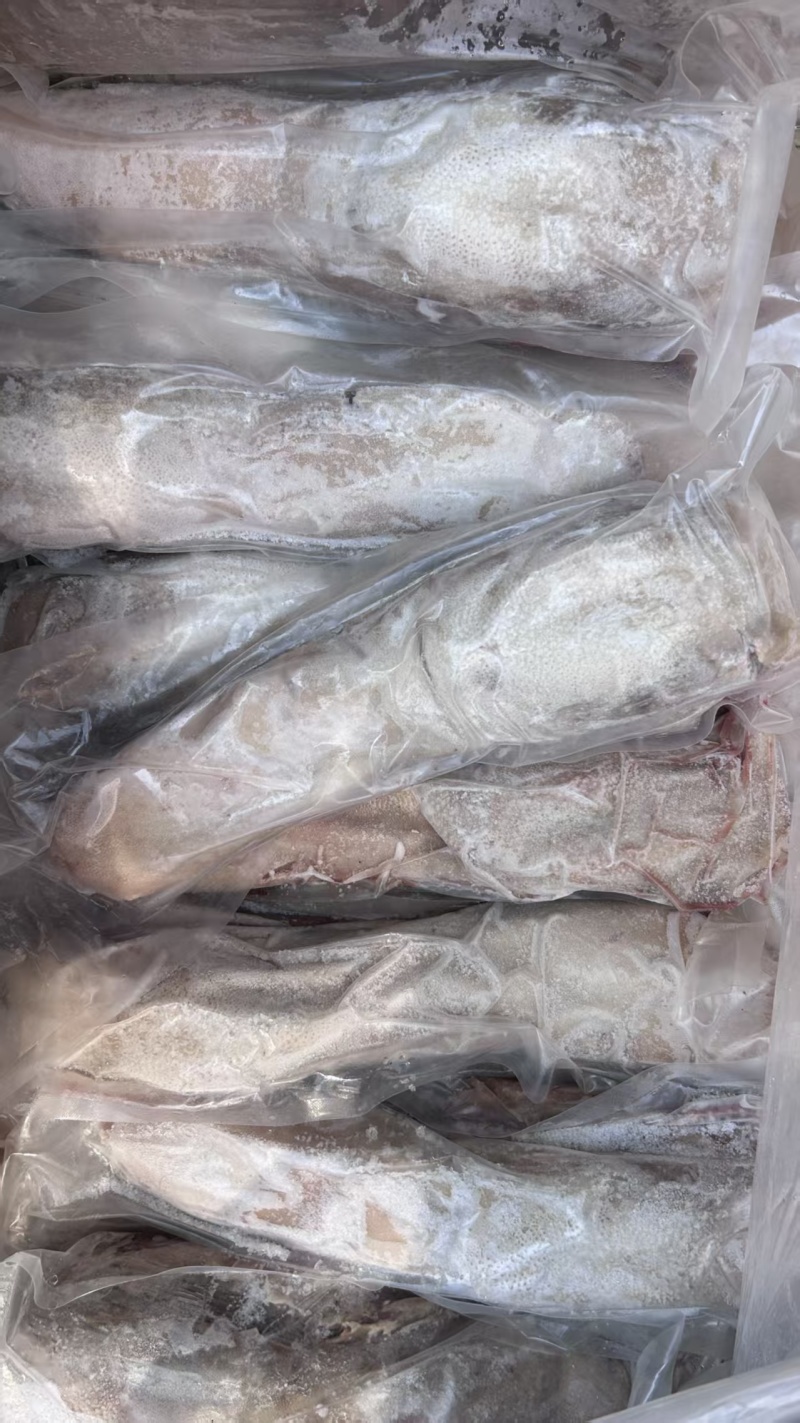 带皮牛舌