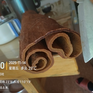 紫油桂