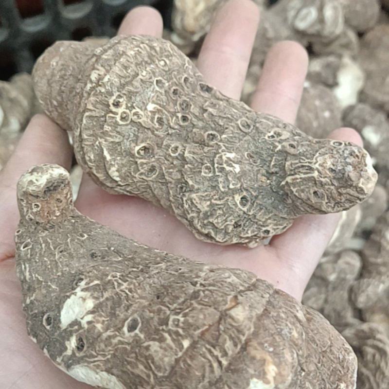 产地直发重楼价格美丽长期供货各种规格大货详谈