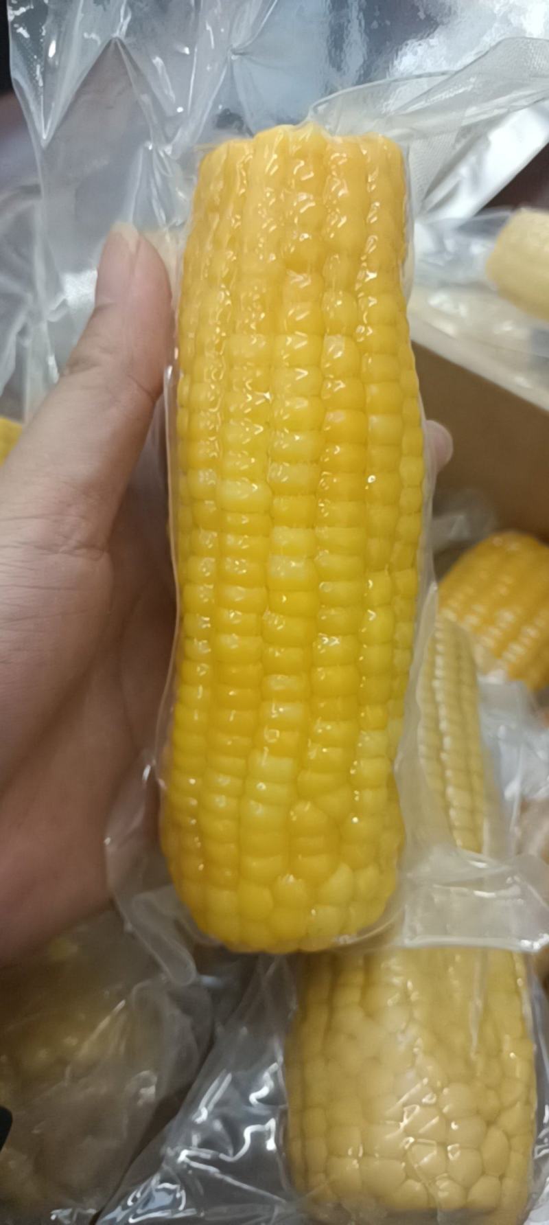 黄糯玉米，真空装，支持一件代发，可开票