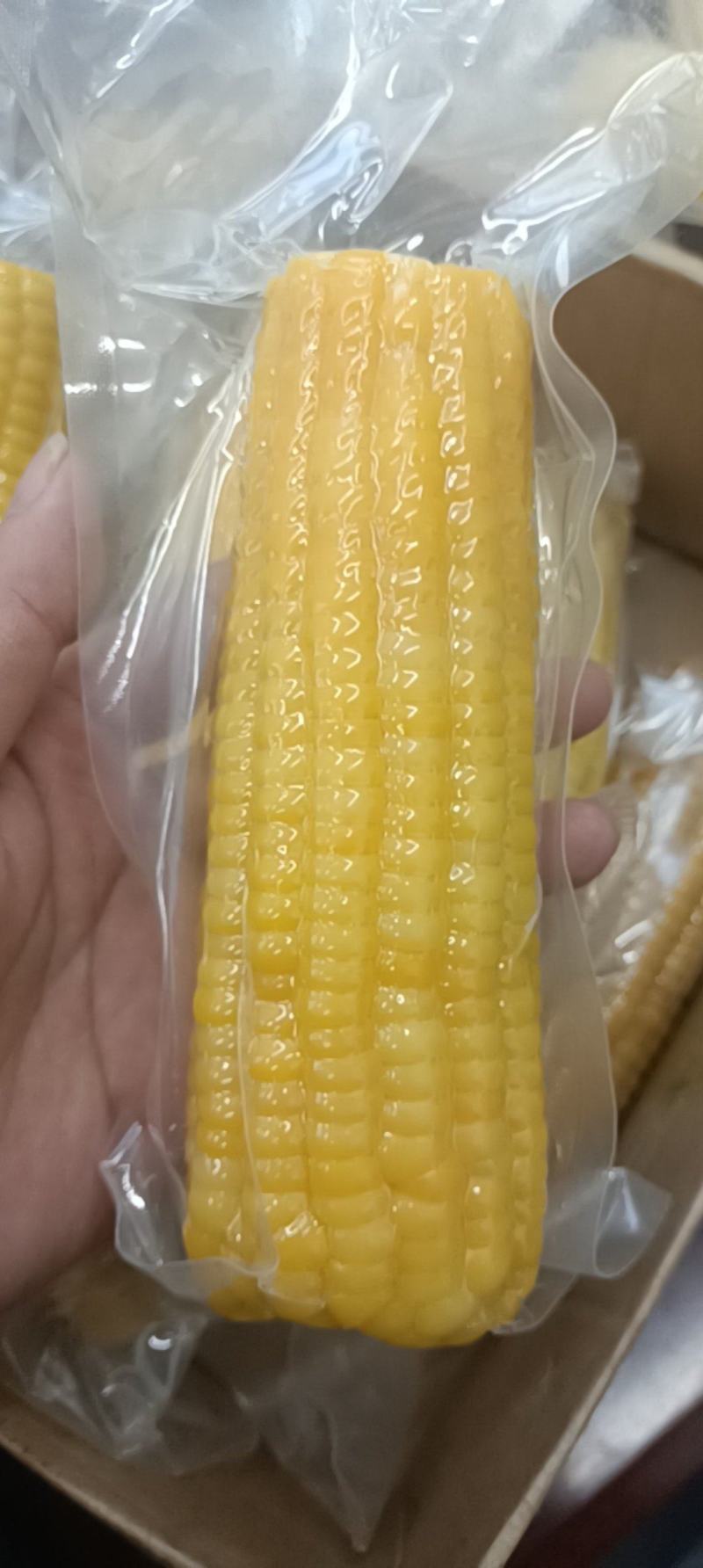 黄糯玉米，真空装，支持一件代发，可开票
