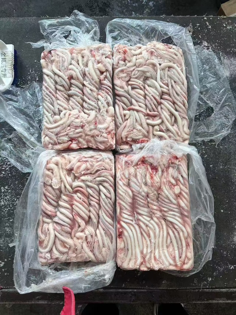 猪鞭精修