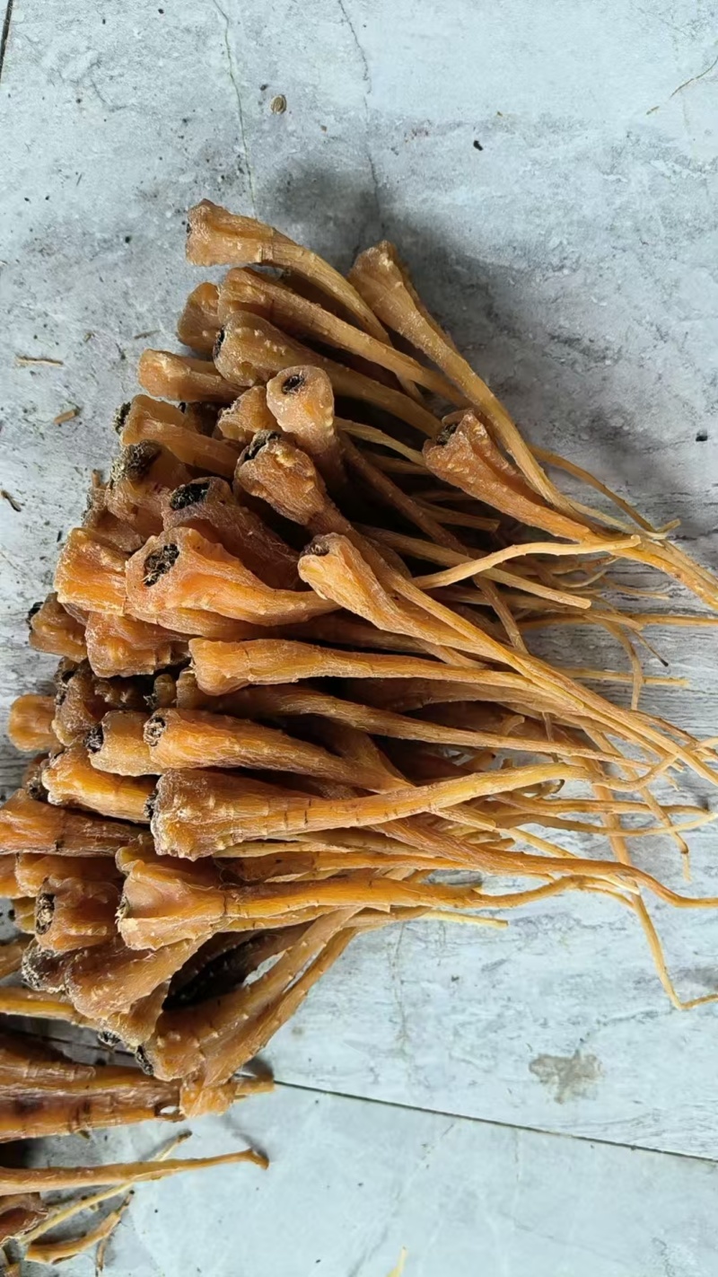 雪参大量上市，产地直销规格齐全欢迎进店量大从优