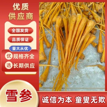 雪参大量上市，产地直销规格齐全欢迎进店量大从优
